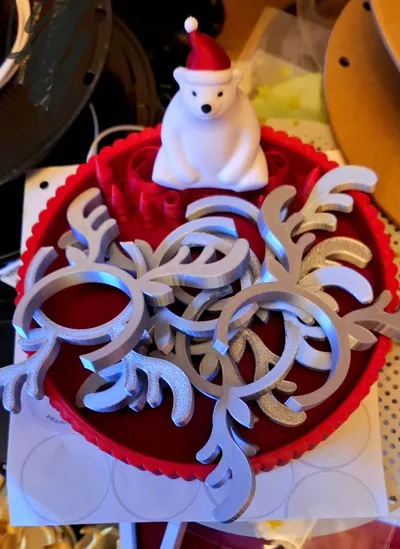https://makerworld.bblmw.com/makerworld/model/790519/2181566/ratings/559536e0-c870-11f0-ab20-2ffec99fb11b.jpg