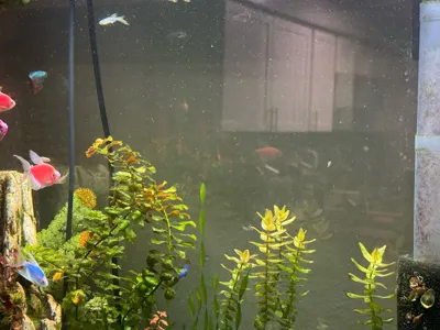 https://makerworld.bblmw.com/makerworld/model/790554/728890/ratings/0425e800-6e1f-11f0-8288-29b6da2b3d30.jpg