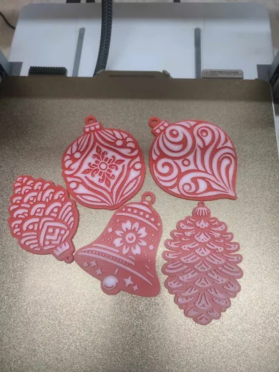 https://makerworld.bblmw.com/makerworld/model/791116/729520/ratings/055a3520-ba85-11f0-b55e-3b7beb0c755a.jpg