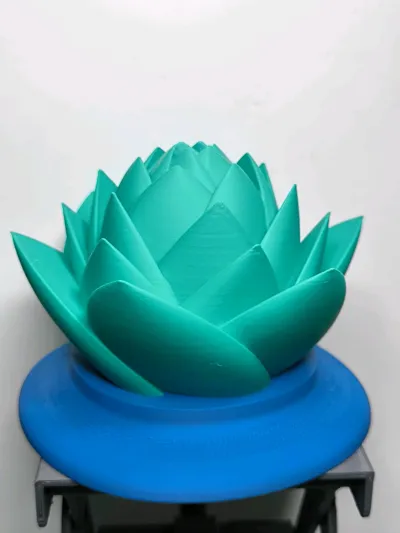 https://makerworld.bblmw.com/makerworld/model/795908/735028/ratings/313eab90-2790-11f0-ac5a-cbd2970c057f.jpg
