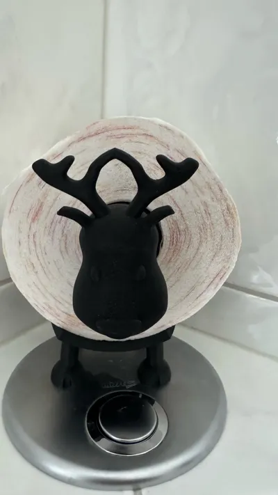 https://makerworld.bblmw.com/makerworld/model/796211/735369/ratings/54babf90-185f-11f0-95d1-cb62d62abecb.jpg