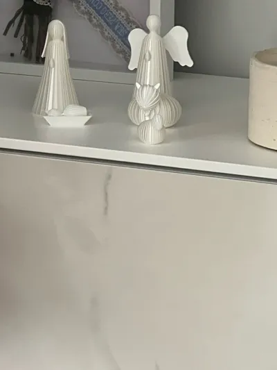 https://makerworld.bblmw.com/makerworld/model/797669/737078/ratings/f1c511b0-c538-11f0-afbb-93e1c6702e92.jpg