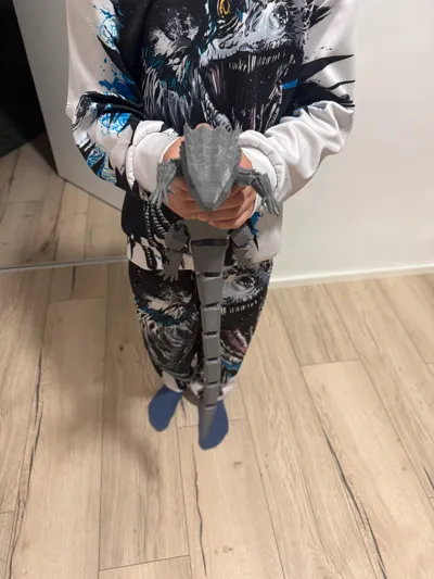 https://makerworld.bblmw.com/makerworld/model/798612/738172/ratings/aead8ad0-bc80-11f0-805a-43e74e34f1b8.jpg