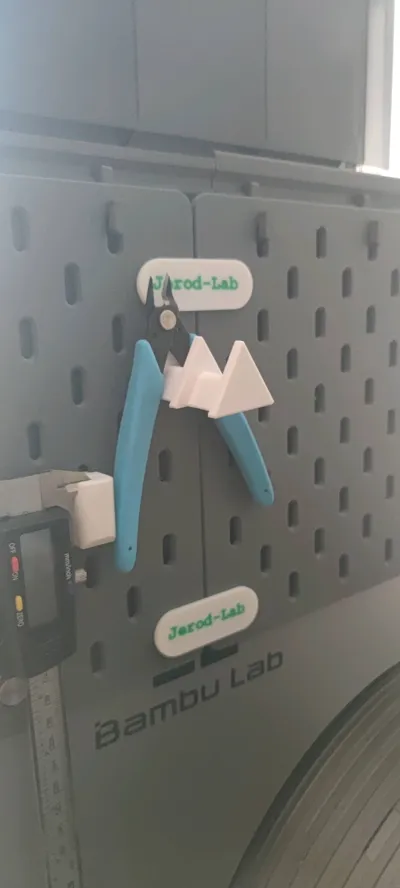 https://makerworld.bblmw.com/makerworld/model/798702/738341/ratings/992f3c10-92de-11f0-9ed4-9dc07aee4480.jpg