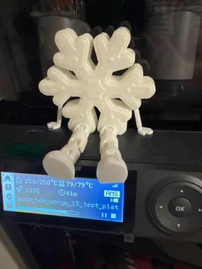 https://makerworld.bblmw.com/makerworld/model/798887/738509/ratings/73f97680-c403-11f0-b993-7999c294425d.jpg