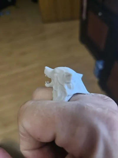https://makerworld.bblmw.com/makerworld/model/799340/739078/ratings/a921b620-2b8c-11f0-9b64-f165d34f7959.jpg