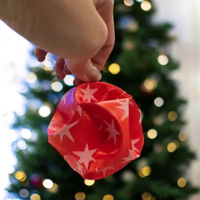 https://makerworld.bblmw.com/makerworld/model/799485/739249/ratings/71b7a990-dc7d-11f0-8a00-bfd688862d92.jpg