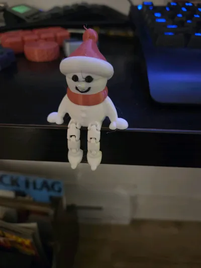 https://makerworld.bblmw.com/makerworld/model/800845/2085705/ratings/6b694a80-c422-11f0-81bd-5171f08fb2d1.jpg