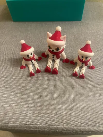 https://makerworld.bblmw.com/makerworld/model/800845/740800/ratings/1e6ccb90-bd82-11f0-8319-9d7087484da8.jpg