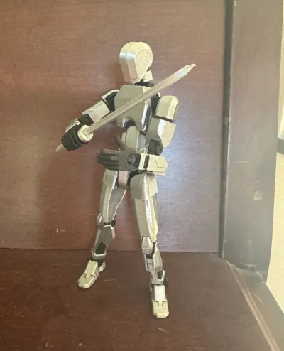 https://makerworld.bblmw.com/makerworld/model/801151/741172/ratings/77b5a370-8763-11f0-854f-59faee63a931.jpg