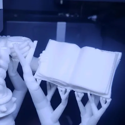 https://makerworld.bblmw.com/makerworld/model/804196/744553/ratings/578ee040-79dd-11f0-926e-7380ada37a71.jpg