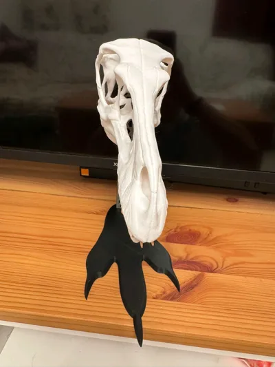 https://makerworld.bblmw.com/makerworld/model/804488/744882/ratings/d1021730-8f31-11f0-b709-8b69946ec289.jpg