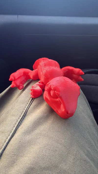 https://makerworld.bblmw.com/makerworld/model/806230/746829/ratings/81c9e670-8abd-11f0-9bca-6177e4144f0a.jpg