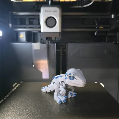https://makerworld.bblmw.com/makerworld/model/806230/746829/ratings/c3440480-caed-11f0-a8c8-2f8fca687d63.jpg