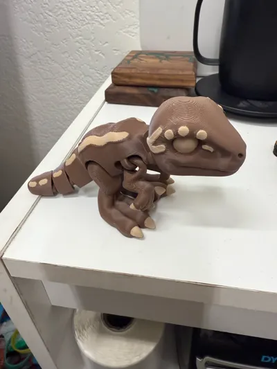 https://makerworld.bblmw.com/makerworld/model/806230/746829/ratings/f1df44a0-88d8-11f0-a4c6-9d51cc13b968.jpg