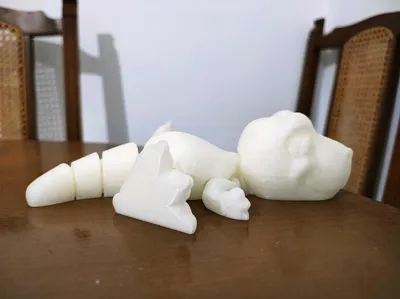 https://makerworld.bblmw.com/makerworld/model/806240/1123149/ratings/52b62950-59c3-11f0-9341-e7af39797faa.jpg