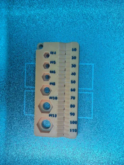 https://makerworld.bblmw.com/makerworld/model/808280/749130/ratings/d3623490-f3c9-11f0-be14-87471c3783f2.jpg