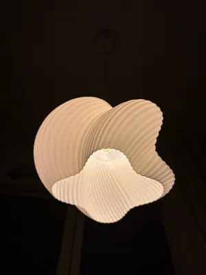 https://makerworld.bblmw.com/makerworld/model/808953/749884/ratings/3d5b82f1-fb8e-11ef-9247-c9a44e936f87.jpg
