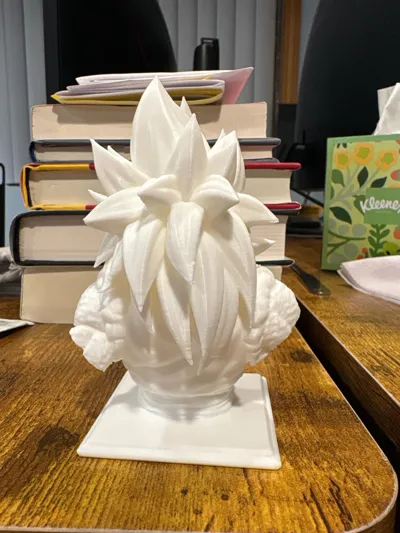 https://makerworld.bblmw.com/makerworld/model/809094/750070/ratings/96a4ad60-1078-11f0-8f88-8b01eabff6f1.jpg