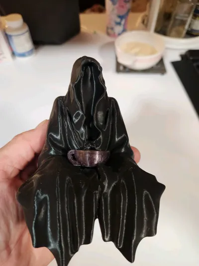 https://makerworld.bblmw.com/makerworld/model/810243/751448/ratings/8645d060-8685-11f0-9f61-db7e2285353c.jpg