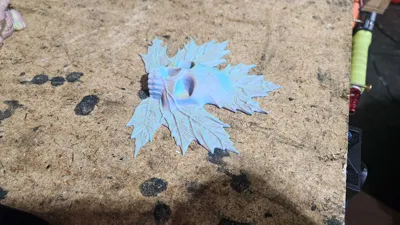 https://makerworld.bblmw.com/makerworld/model/811298/752698/ratings/1aa82130-3574-11f0-a310-b3b7ca7af329.jpg