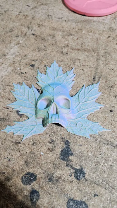 https://makerworld.bblmw.com/makerworld/model/811298/752698/ratings/1b9a4960-3574-11f0-a310-b3b7ca7af329.jpg