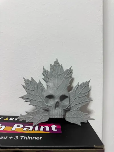 https://makerworld.bblmw.com/makerworld/model/811298/752698/ratings/eb8c1e30-6546-11f0-9454-2783d0e5e302.jpg