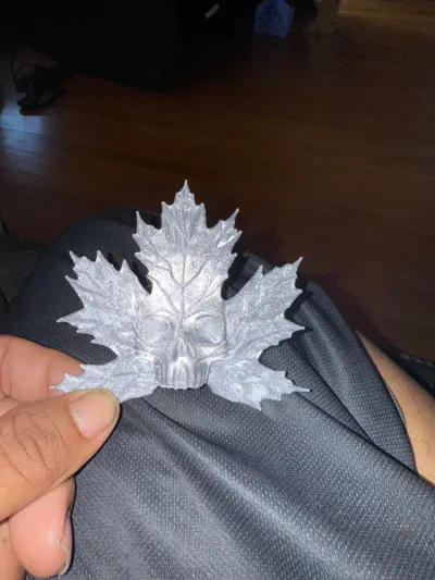 https://makerworld.bblmw.com/makerworld/model/811298/761769/ratings/d54f8a20-7d2f-11f0-98bc-2f20d7ea3614.jpg