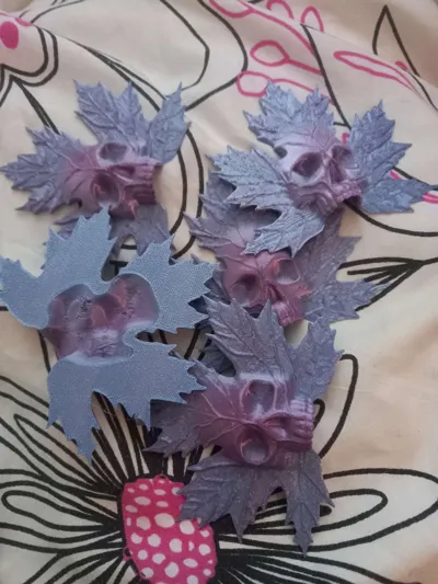https://makerworld.bblmw.com/makerworld/model/811298/761769/ratings/fa2f1fa0-9949-11f0-8c66-0987bcc8c768.jpg