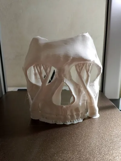 https://makerworld.bblmw.com/makerworld/model/811403/752808/ratings/62416720-8d32-11f0-a9a4-0dc551009acd.jpg