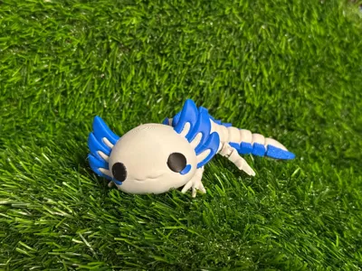 https://makerworld.bblmw.com/makerworld/model/811672/1041809/ratings/ad4e19c0-c0d1-11f0-be60-c14eefe22a9d.jpg