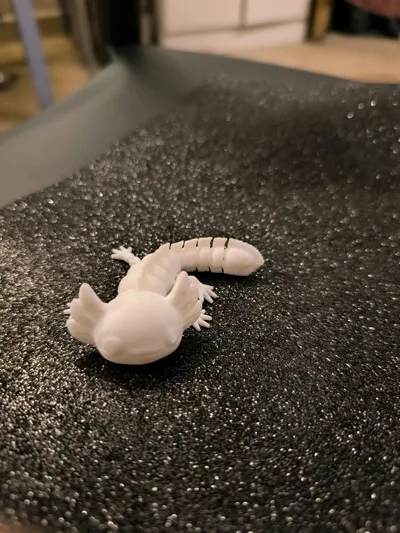 https://makerworld.bblmw.com/makerworld/model/811672/1543513/ratings/febb4a50-f455-11f0-ab5a-49173bb24914.jpg