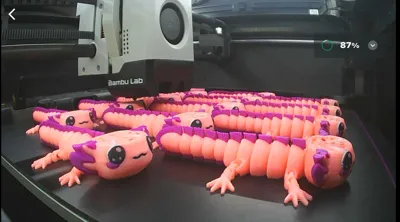 https://makerworld.bblmw.com/makerworld/model/811672/753152/ratings/2d9e4a70-8813-11f0-986a-411a750e6212.jpg