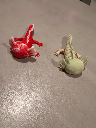 https://makerworld.bblmw.com/makerworld/model/811672/753152/ratings/cdccb860-d322-11f0-b9d8-f993917119c3.jpg