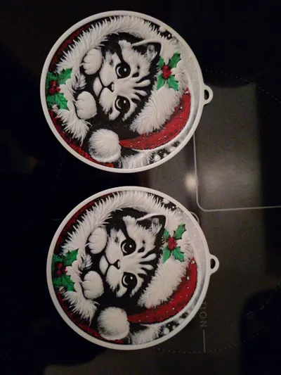https://makerworld.bblmw.com/makerworld/model/812001/806189/ratings/53943f00-dd72-11f0-86ef-e330cf2108f5.jpg