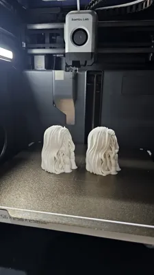 https://makerworld.bblmw.com/makerworld/model/813417/755218/ratings/39044e00-0627-11f0-95c6-a5572ac101e9.jpg
