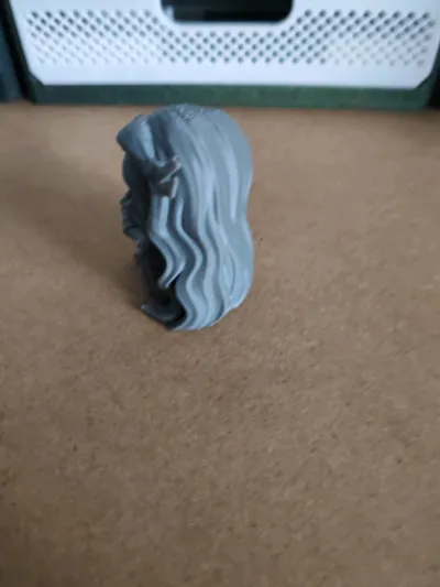 https://makerworld.bblmw.com/makerworld/model/813417/755218/ratings/a8392620-7462-11f0-8379-1905736ee520.jpg