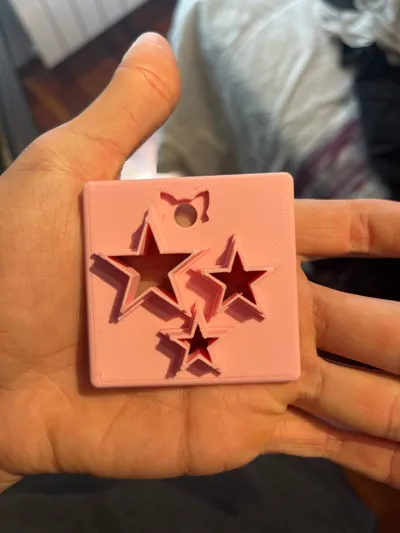 https://makerworld.bblmw.com/makerworld/model/813438/755237/ratings/7d208a40-1eaf-11f0-b8b8-350cdd031a9a.jpg