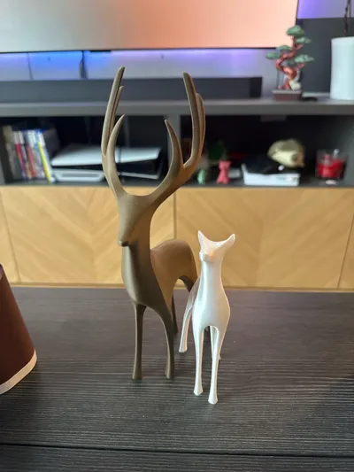 https://makerworld.bblmw.com/makerworld/model/817434/766468/ratings/05b9c870-bc81-11f0-9ee8-27444141ca6f.jpg