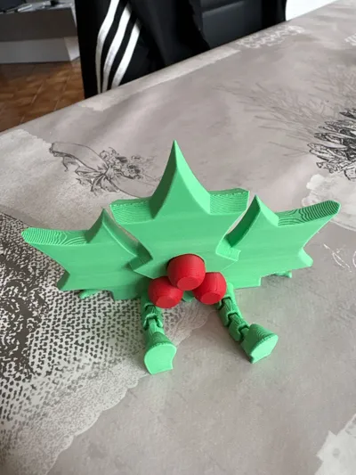 https://makerworld.bblmw.com/makerworld/model/819168/762008/ratings/e3f1d9f0-96f4-11f0-81af-d57dfa4344f6.jpg