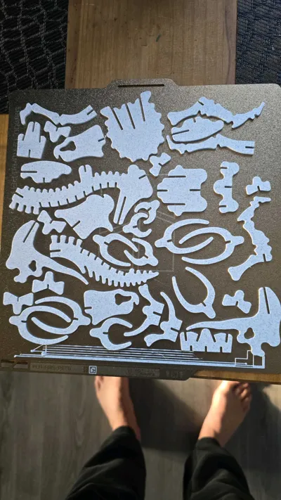 https://makerworld.bblmw.com/makerworld/model/819210/761997/ratings/12277df0-1196-11f0-8aad-2be900367805.jpg
