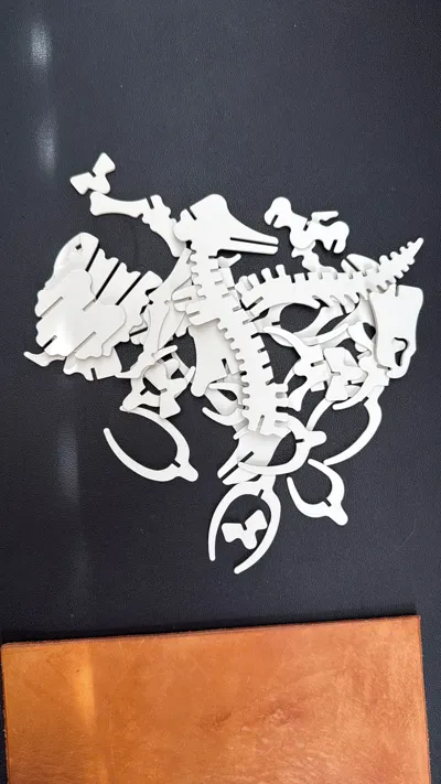 https://makerworld.bblmw.com/makerworld/model/819210/761997/ratings/2be77760-adde-11f0-a76b-3bdde7b2720d.jpg