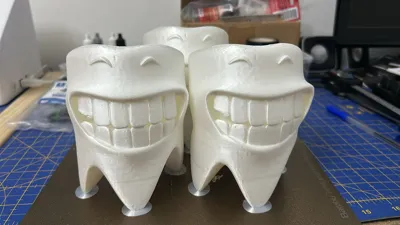 https://makerworld.bblmw.com/makerworld/model/819253/762070/ratings/fdc226c0-1bdc-11f0-b323-4f0b60503945.jpg