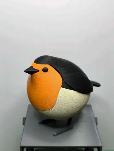 https://makerworld.bblmw.com/makerworld/model/819942/762822/ratings/d0201d40-2847-11f0-a9c8-a9b8d27d843d.jpg