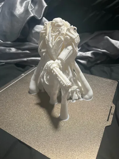 https://makerworld.bblmw.com/makerworld/model/822108/765325/ratings/f150bbf0-969c-11f0-b003-a13f74762e3f.jpg