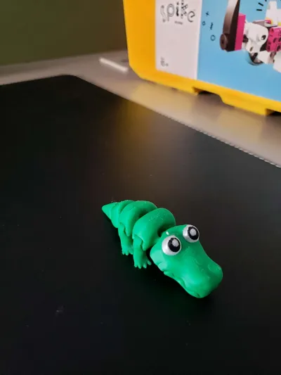 https://makerworld.bblmw.com/makerworld/model/822198/765433/ratings/d912d960-6857-11f0-865e-976f1cd3b5dd.jpg