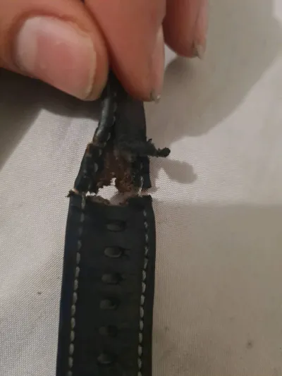 https://makerworld.bblmw.com/makerworld/model/822533/765809/ratings/3e9a9de0-525a-11f0-8dcd-3160036e66f5.jpg