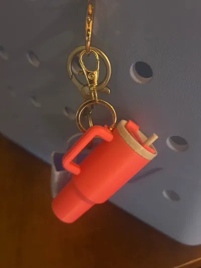 https://makerworld.bblmw.com/makerworld/model/822694/1634867/ratings/e8f119f0-66a4-11f0-88fa-2799a8c2481a.jpg
