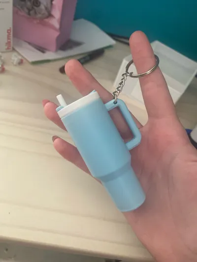 https://makerworld.bblmw.com/makerworld/model/822694/779527/ratings/61dbf980-7784-11f0-a173-41d3d0307019.jpg