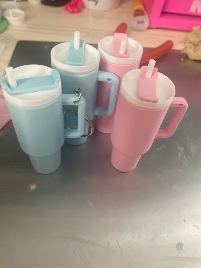 https://makerworld.bblmw.com/makerworld/model/822694/779527/ratings/61dc2090-7784-11f0-a173-41d3d0307019.jpg